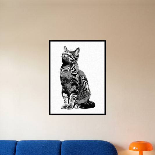 room-black-60x80