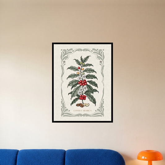 room-black-60x80