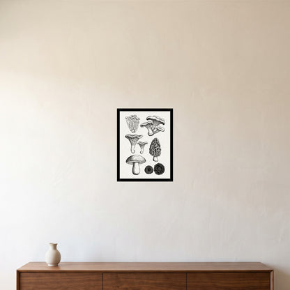 room-black-30x40