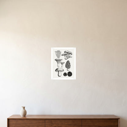 room-white-30x40