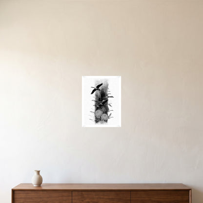 room-white-30x40