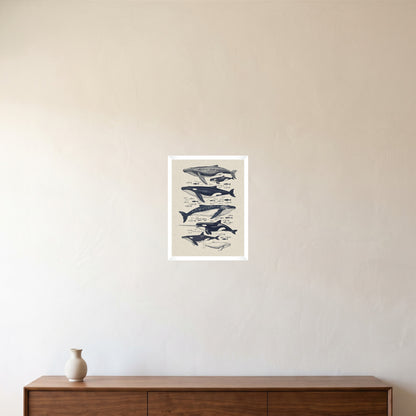 room-white-30x40