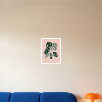 room-white-30x40