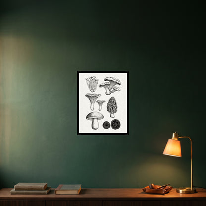 room-black-40x50
