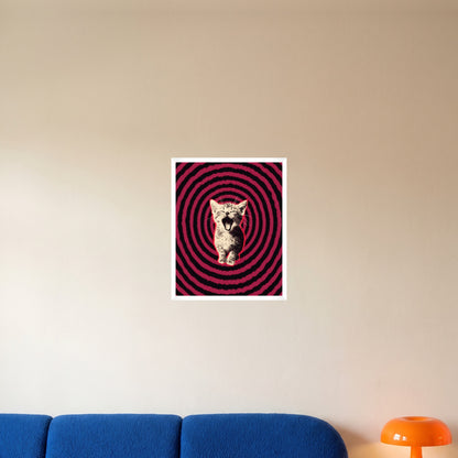 room-white-40x50