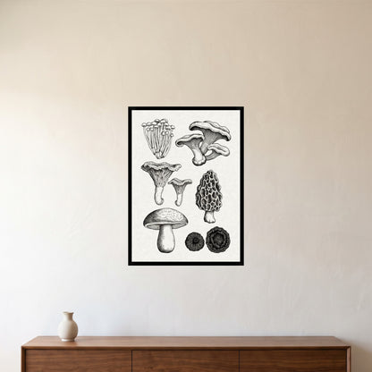 room-black-50x70