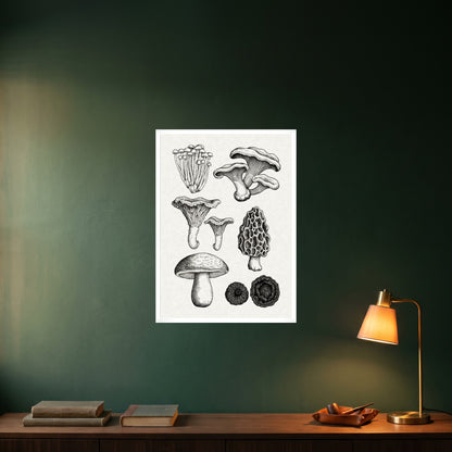 room-white-50x70