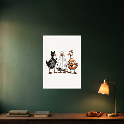 room-white-50x70