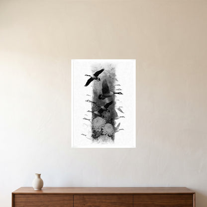 room-white-50x70