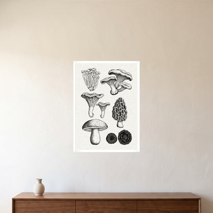 room-white-50x70