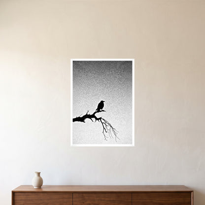 room-white-50x70