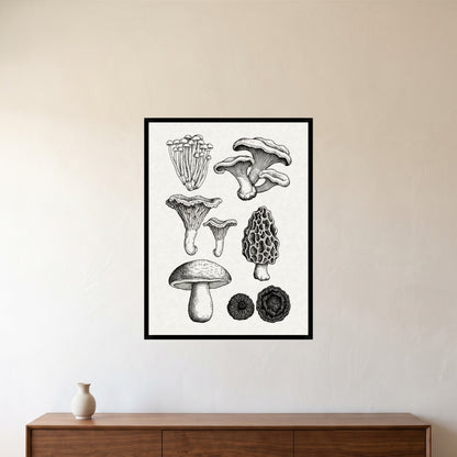 room-black-60x80