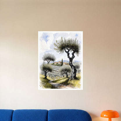 room-white-60x80