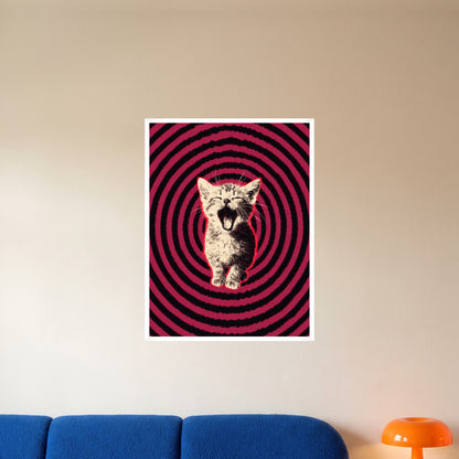 room-white-60x80