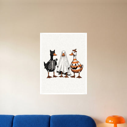 room-white-60x80