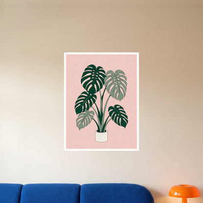 room-white-60x80