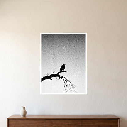 room-white-60x80