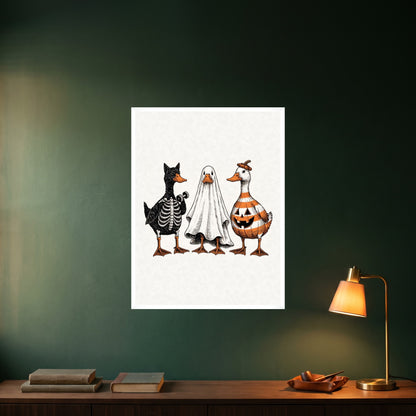 room-white-60x80