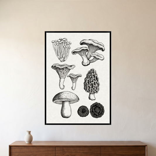 room-black-70x100