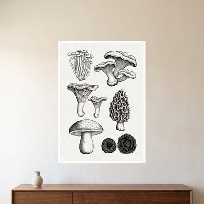 room-white-70x100