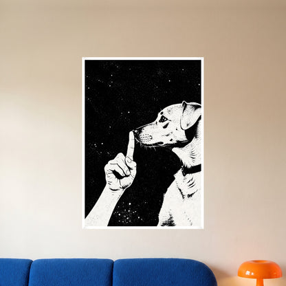 room-white-70x100