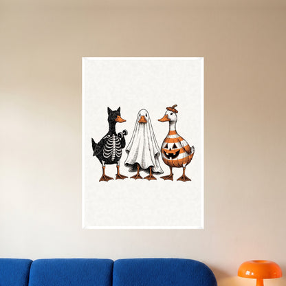 room-white-70x100