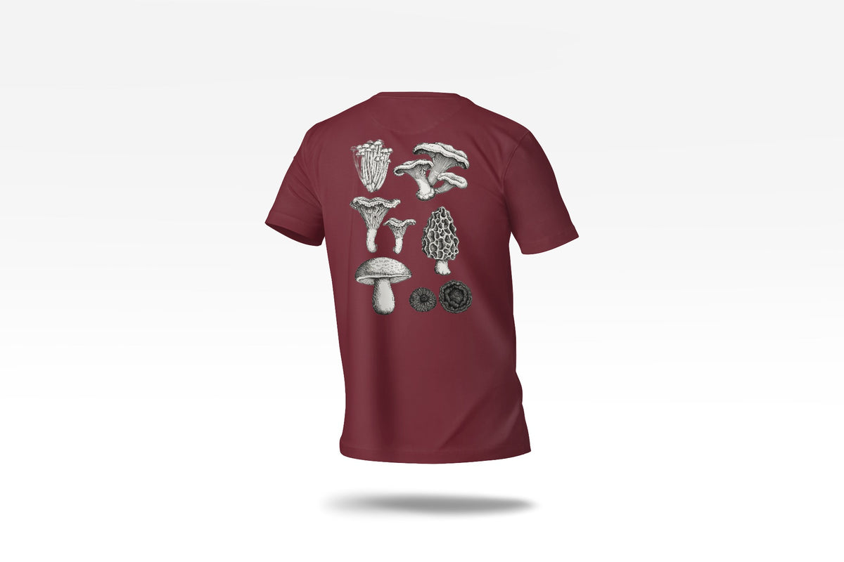 c-burgundy-2