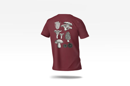 c-burgundy-2