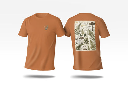 c-terracotta-0