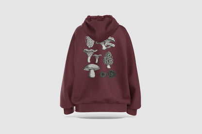 c-burgundy-1
